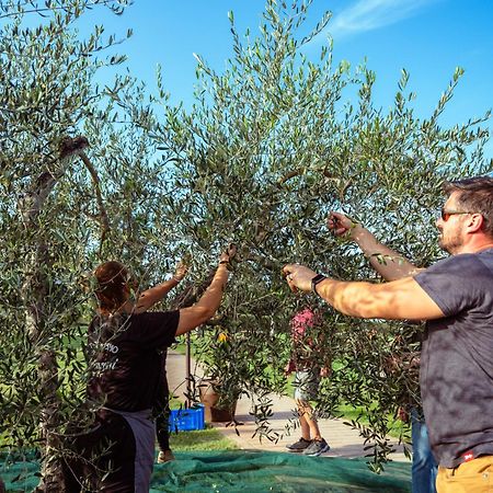 Villamagna  Agriturismo Biologico Diacceroni מראה חיצוני תמונה