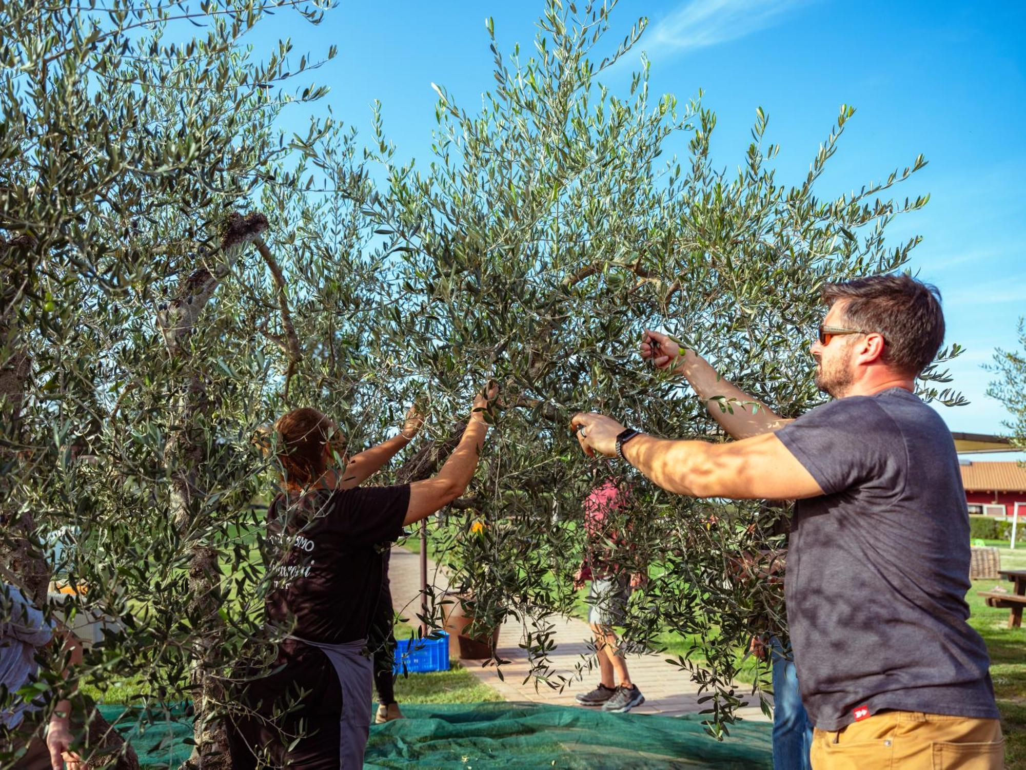 Villamagna  Agriturismo Biologico Diacceroni מראה חיצוני תמונה