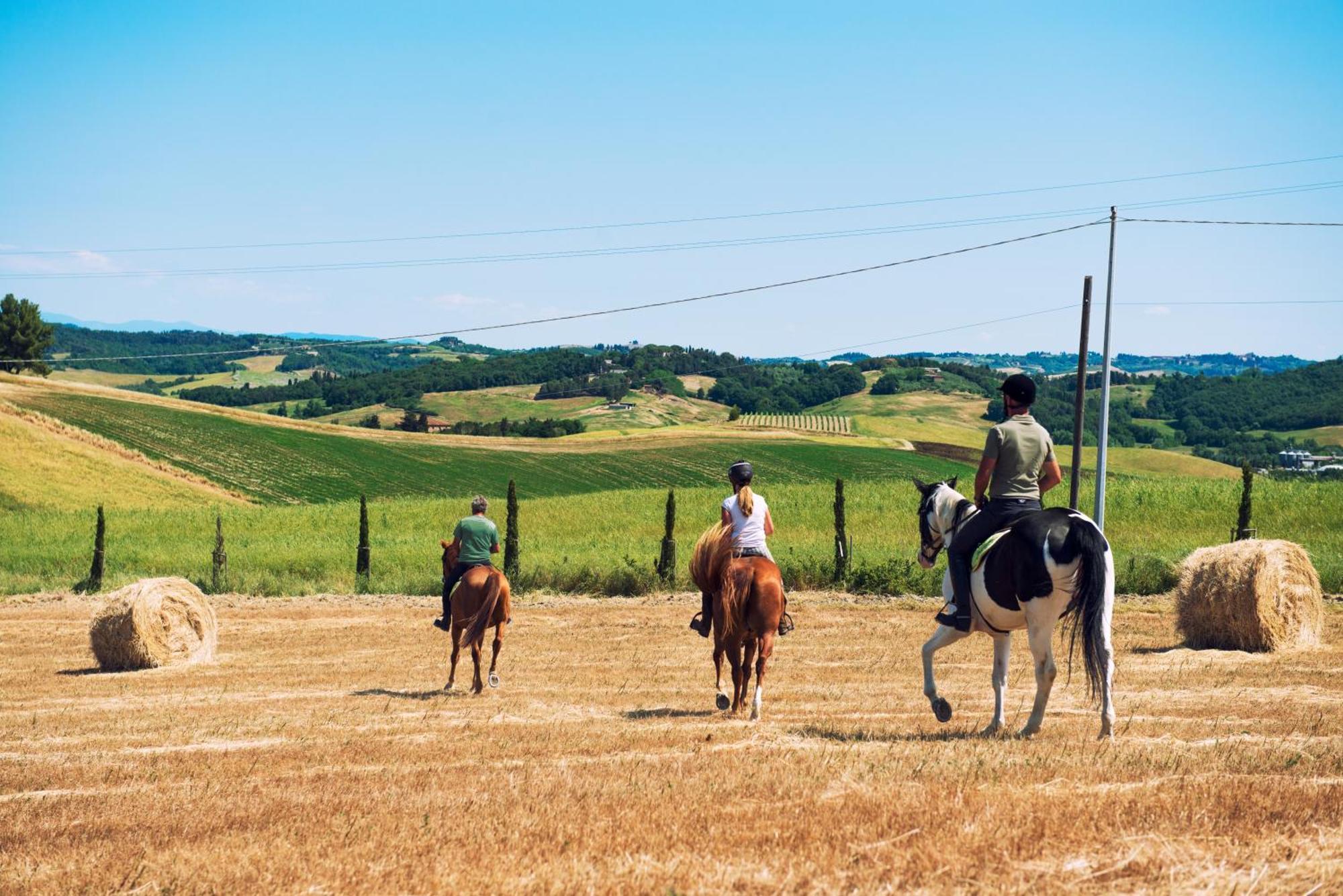 Villamagna  Agriturismo Biologico Diacceroni מראה חיצוני תמונה