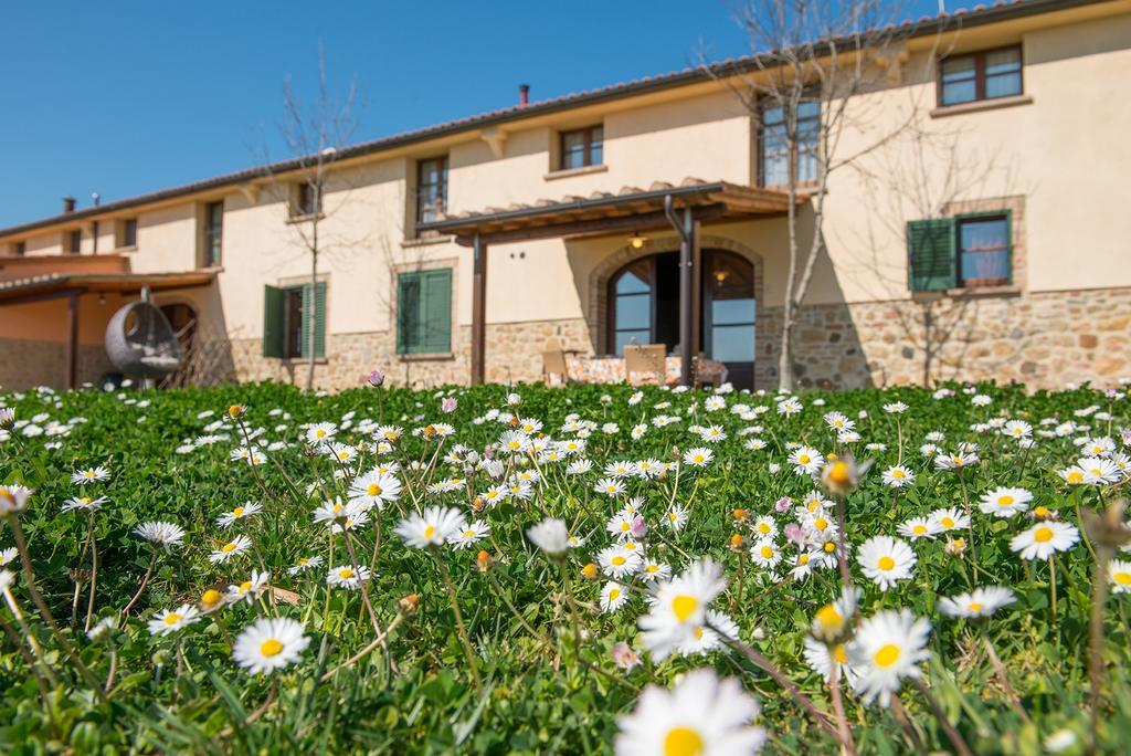 Villamagna  Agriturismo Biologico Diacceroni מראה חיצוני תמונה
